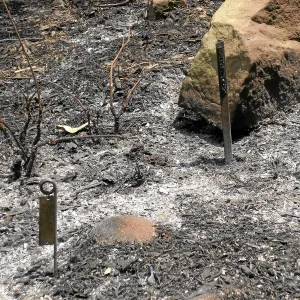 Jesusita Fire, accession stakes