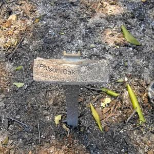 Jesusita Fire, melted public information label