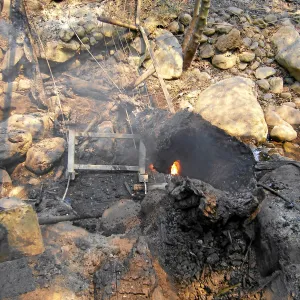 Jesusita Fire, burning stump 3 days after fire