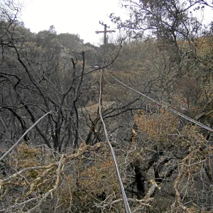 Jesusita Fire clearance