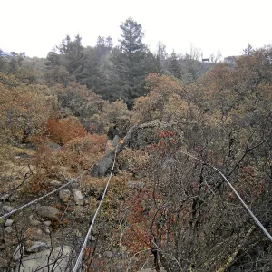 Jesusita Fire clearance