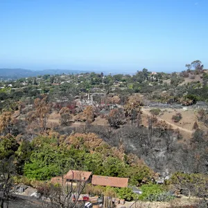 View of Jesusita Fire damage from Cavalli Ridge