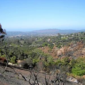 View of Jesusita Fire damage from Cavalli Ridge