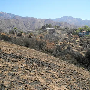 View of Jesusita Fire damage from Cavalli Ridge