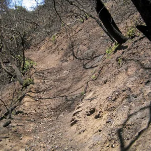Erosion on the Pritchett Trail post Jesusita Fire