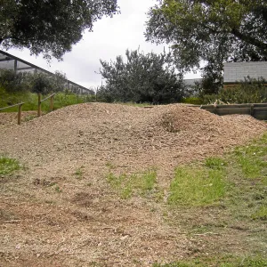 Fire clearance of brush at SBBG