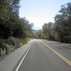 Fire clearance of brush at SBBG