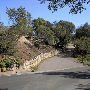 Fire clearance of brush at SBBG