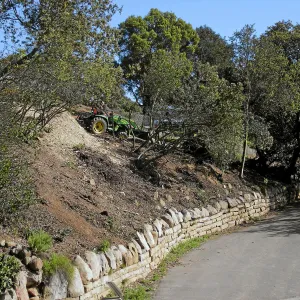 Fire clearance of brush at SBBG