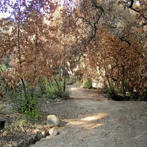 Aqueduct, Canyon Trail, after Jesusita Fire