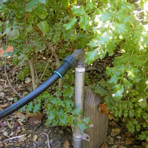 Irrigation press pictures
