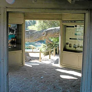 Information Kiosk, interior