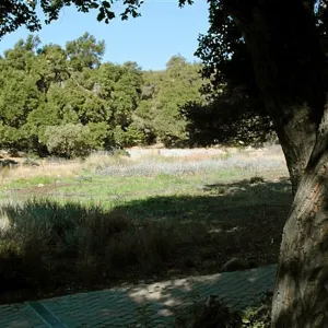 View to Meadow Terrace from North west bottom step