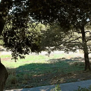 View to Meadow Terrace from North west, halfway up the steps