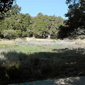 View to Meadow Terrace, from North west path leading to steps