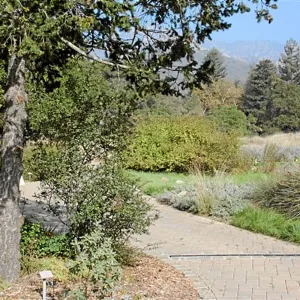 Meadow Terrace, North at Blaksley Boulder