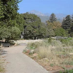Meadow Terrace, North, loop near pond