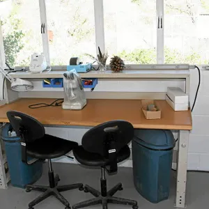 Seed Lab