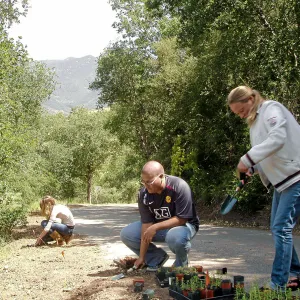 Cate School people planting at Hayhill, Toro Canyon