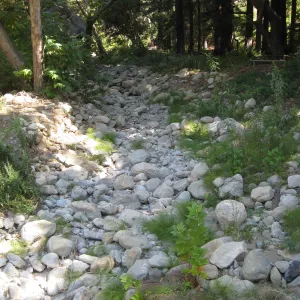 Creek bed above Mission Dam