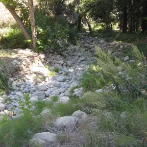 Creek bed above Mission Dam