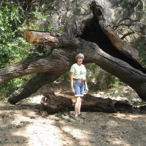 Ingrid Kaper with oak remains in Canyon