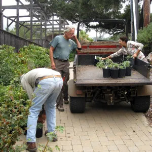 Fall plant sale setup