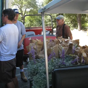 Fall plant sale setup