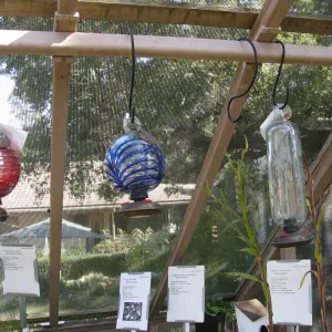 Fall plant sale setup. Lath house products