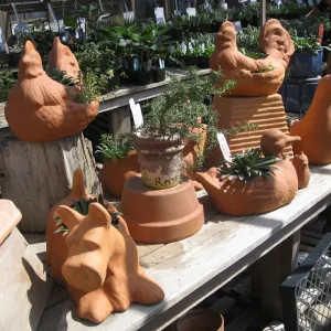 Fall plant sale setup. Lath house products
