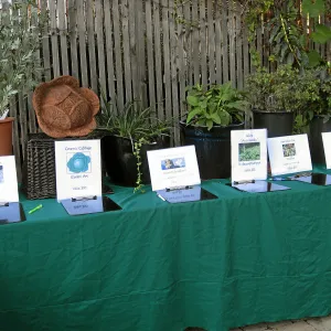 2011 Fall plant sale preview party