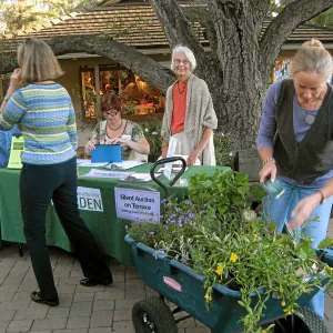 2011 Fall plant sale preview party, Corinne Gallagher