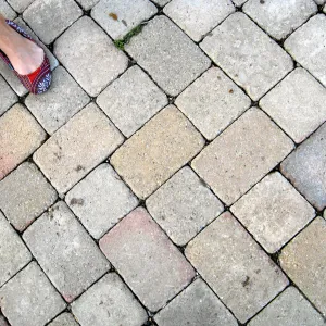 Pavers in the vicinity of the Meadow Oaks