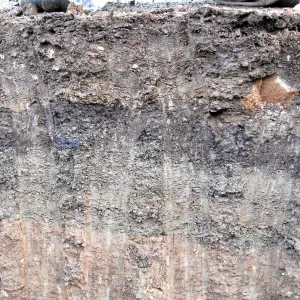 Soil profile showing shale buildup in holes dug for new oak trees in the Meadow Oaks