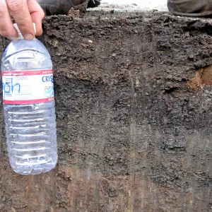 Soil profile showing shale buildup in holes dug for new oak trees in the Meadow Oaks