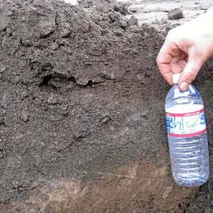 Soil profile showing shale buildup in holes dug for new oak trees in the Meadow Oaks