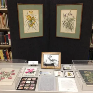 Art by Henry R. Mockel, Art From the Blaksley Library, botanical art exhibit, April 2013