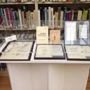 Art by Mary V. Hood, Art From the Blaksley Library, botanical art exhibit, April 2013