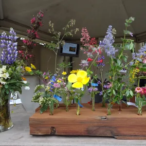 Spring Flowers display at the Visitor Entrance Kiosk