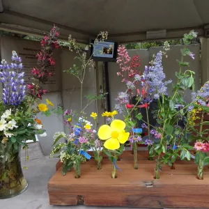 Spring Flowers display at the Visitor Entrance Kiosk