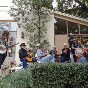 Glendessary Jam provided musical entertainment, SBBG Members Picnic 2013, March 20 2013