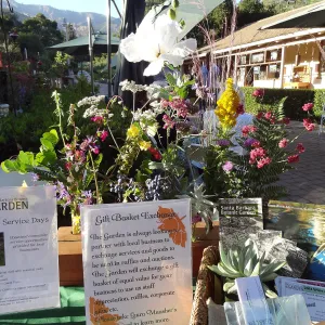 SBBG hosts Santa Barbara Chamber of Commerce Mixer, June 2013, floral arrangements