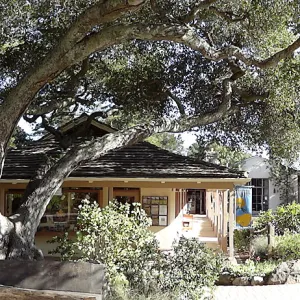 Garden Shop, Garden Entrance, wood bench, entrance oak, SBBG, panorama