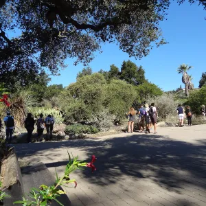 Student tour, Desert Section, Garden Entrance, SBBG