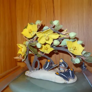 California Sisters and the Lure of Gold, Fremontodendron, Patrick O'Hara porcelain sculpture, SBBG Blaksley Library Special Collections, Art