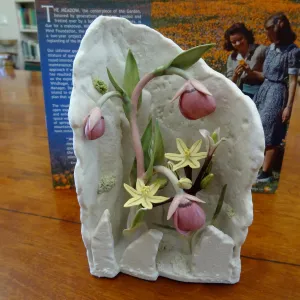 Pink Globe Lily and Golden Brodiaea, Patrick O'Hara porcelain sculpture, SBBG Blaksley Library Special Collections, Art