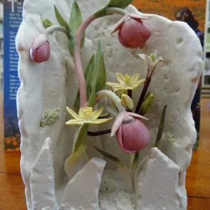 Pink Globe Lily and Golden Brodiaea, Patrick O'Hara porcelain sculpture, SBBG Blaksley Library Special Collections, Art