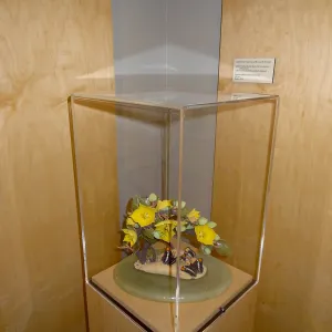 California Sisters and the Lure of Gold, Fremontodendron, porcelain sculpture, Patrick O'Hara exhibit at the Wildling Art Museum, SBBG Blaksley Library Special Collections, Art