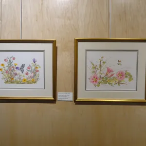 Patrick O'Hara exhibit at the Wildling Art Museum, SBBG Blaksley Library Special Collections, Art