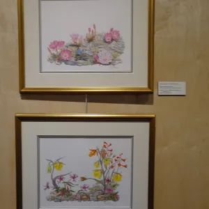 Patrick O'Hara exhibit at the Wildling Art Museum, SBBG Blaksley Library Special Collections, Art